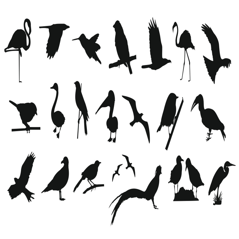 طرح مجموعه پرندگان مناسب برای استفاده در دستگاه های cnc چوب و cnc لیزر - collection of birds cdr file