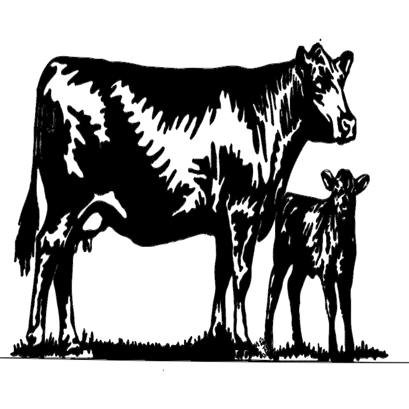 طرح گاو مناسب برای استفاده در دستگاه های cnc چوب و cnc لیزر - cow dxf file