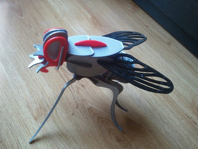 طرح حشرات، مگس، dwg مناسب برای استفاده در دستگاه های cnc چوب و cnc لیزر - insects laser cut fly dwg file