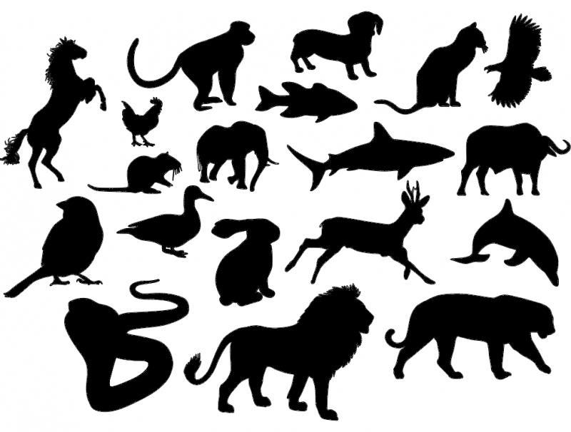طرح حیوانات (سیلوئت) مناسب برای استفاده در دستگاه های cnc چوب و cnc لیزر - animal silhouettes dxf file