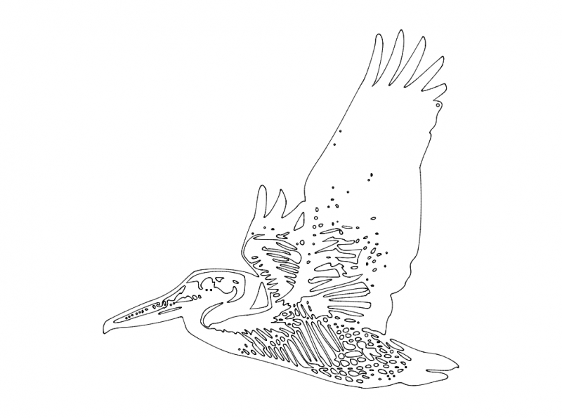 طرح پلیکان در حال پرواز مناسب برای استفاده در دستگاه های cnc چوب و cnc لیزر - flying pelican dxf file