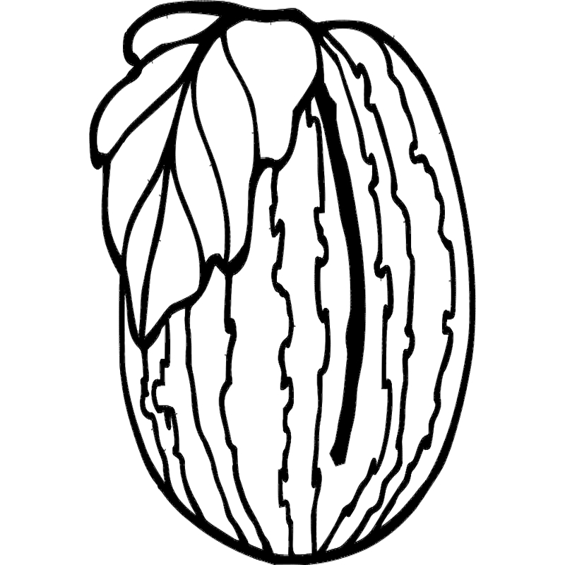 طرح هندوانه مناسب برای استفاده در دستگاه های cnc چوب و cnc لیزر - watermelon dxf file