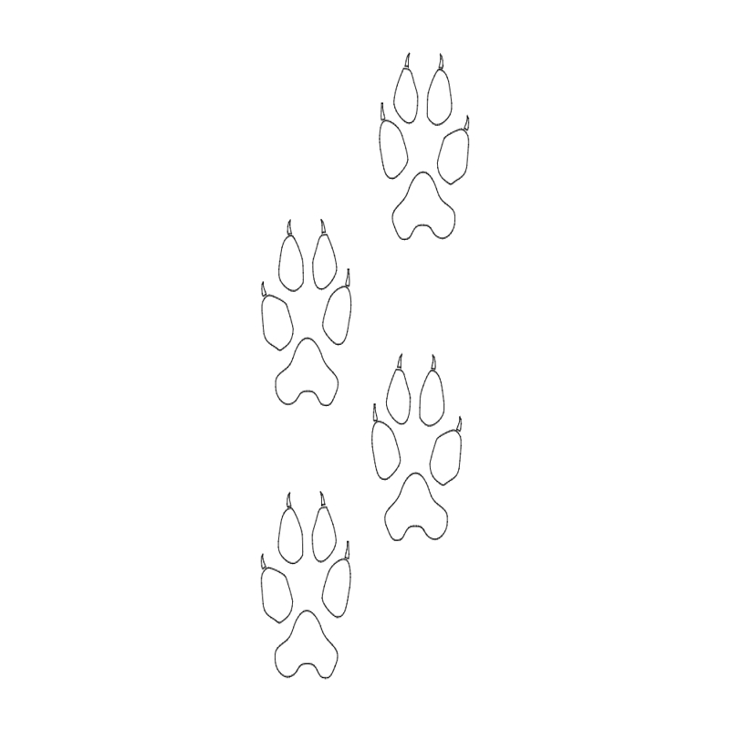 طرح ردپای گرگ مناسب برای استفاده در دستگاه های cnc چوب و cnc لیزر - wolf tracks dxf file