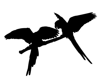 طرح نیمرخ یک جفت طوطی مناسب برای استفاده در دستگاه های cnc چوب و cnc لیزر - parrot pair silhouette dxf file