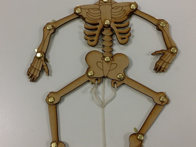 طرح اسکلت متحرک مناسب برای استفاده در دستگاه های cnc چوب و cnc لیزر - laser cut moving skeleton dxf file