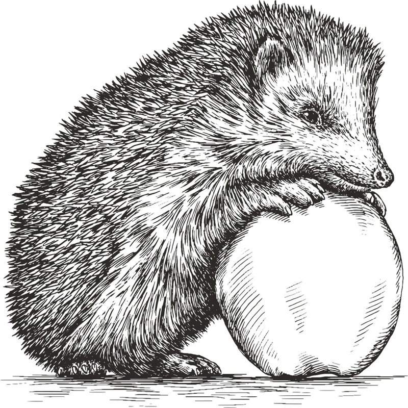 طرح جوجه تیغی بامزه مناسب برای استفاده در دستگاه های cnc چوب و cnc لیزر - cute hedgehog cdr file