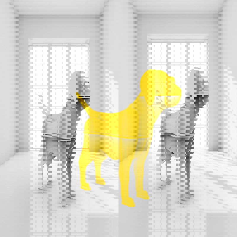 طرح قفسه سگ مناسب برای استفاده در دستگاه های cnc چوب و cnc لیزر - laser cut dog shelf dxf file