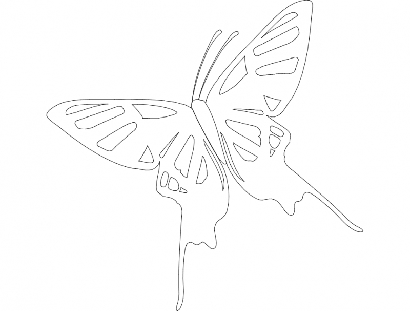 طرح پروانه مناسب برای استفاده در دستگاه های cnc چوب و cnc لیزر - butterfly dxf file