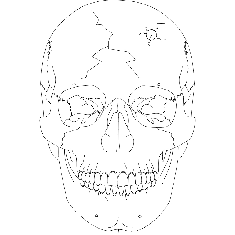 طرح جمجمه ۲ مناسب برای استفاده در دستگاه های cnc چوب و cnc لیزر - skull 2 dxf file