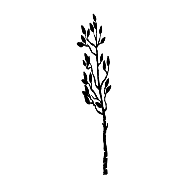 طرح سیلوئت گیاه مناسب برای استفاده در دستگاه های cnc چوب و cnc لیزر - plant silhouette dxf file