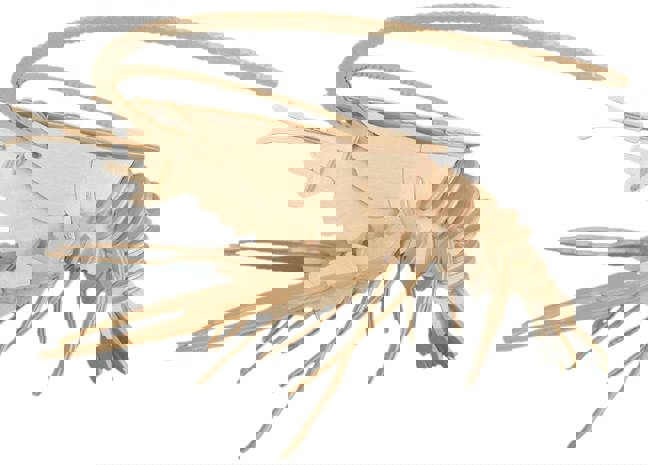 طرح فایل dwg پازل سه بعدی خرچنگ مناسب برای استفاده در دستگاه های cnc چوب و cnc لیزر - lobster 3d puzzle dwg file