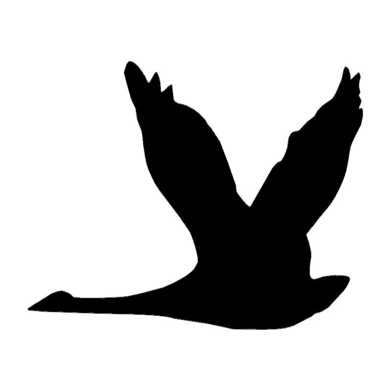 طرح غازها مناسب برای استفاده در دستگاه های cnc چوب و cnc لیزر - geese dxf file