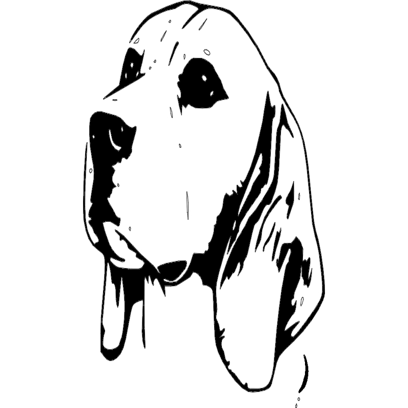 طرح بیگل ۳ مناسب برای استفاده در دستگاه های cnc چوب و cnc لیزر - beagle 3 dxf file