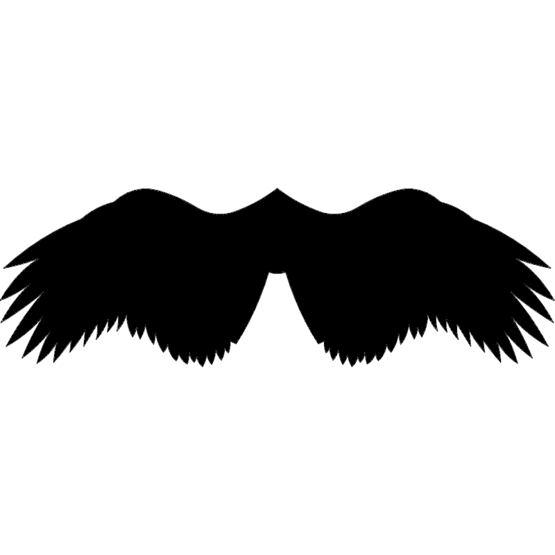 طرح بال شماره ۸ مناسب برای استفاده در دستگاه های cnc چوب و cnc لیزر - wings 8 dxf file