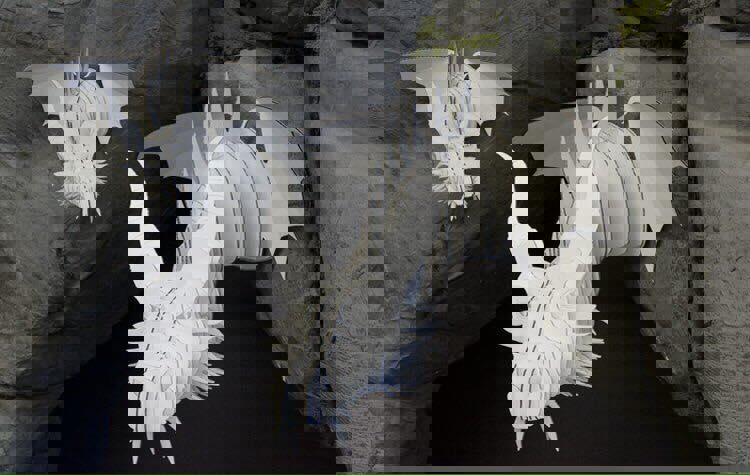 طرح اژدهای یورو مناسب برای استفاده در دستگاه های cnc چوب و cnc لیزر - dragon euro dxf file