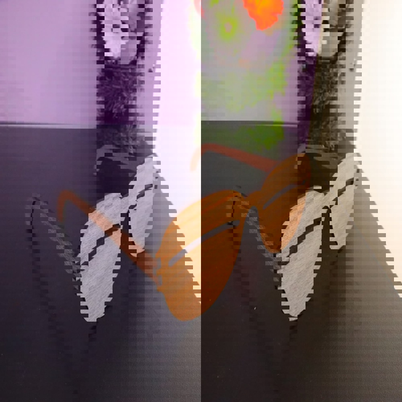 طرح عینک آفتابی چوبی و ضخامت ۳ میلی‌متر مناسب برای استفاده در دستگاه های cnc چوب و cnc لیزر - laser cut wooden sunglasses 3mm dxf file