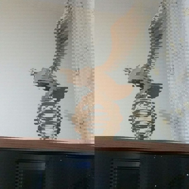 طرح مدل عقاب کارتال مناسب برای استفاده در دستگاه های cnc چوب و cnc لیزر - maket kartal eagle model dxf file