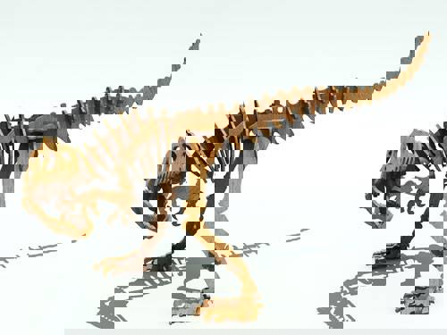 طرح آلوزاروس r با ابعاد 6 میلی‌متر مناسب برای استفاده در دستگاه های cnc چوب و cnc لیزر - allosaurus r 6 mm dxf file