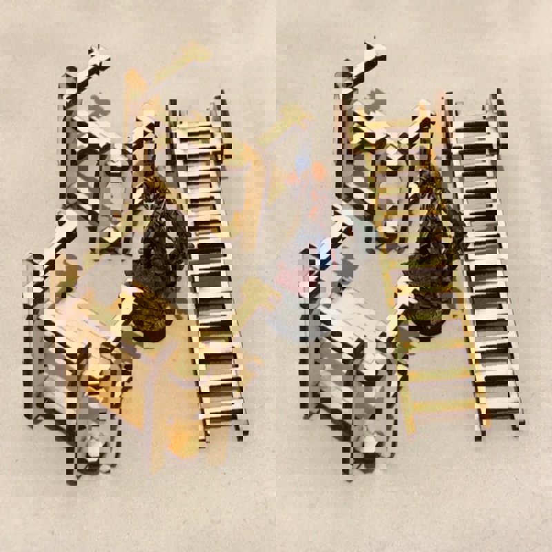 طرح نردبان 3 میلی‌متری مناسب برای استفاده در دستگاه های cnc چوب و cnc لیزر - laser cut ladder gantries 3mm svg file