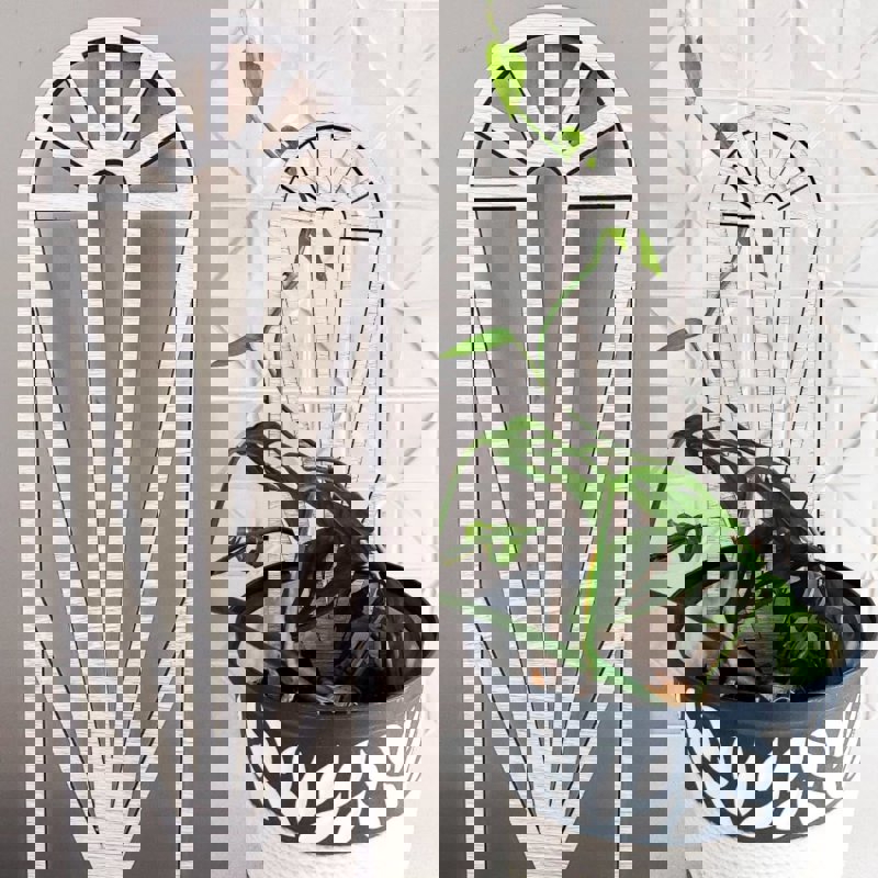 طرح داربست گیاهی ، نگهدارنده بالارونده برای ساقه‌های باغ، گیاهان گلدانی، تاک‌ها مناسب برای استفاده در دستگاه های cnc چوب و cnc لیزر - laser cut plant trellis potted plants climbing holder for garden stems vines