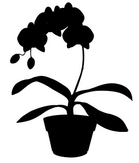 طرح گیاه آپارتمانی شماره ۵ مناسب برای استفاده در دستگاه های cnc چوب و cnc لیزر - house plant 5 dxf file