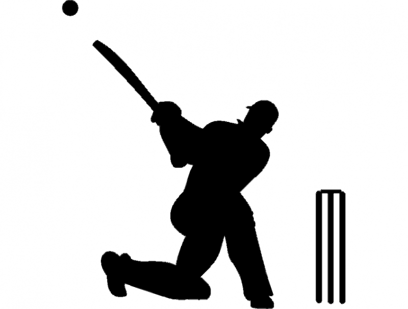 طرح گلدار کریکت مناسب برای استفاده در دستگاه های cnc چوب و cnc لیزر - cricket silhouette dxf file