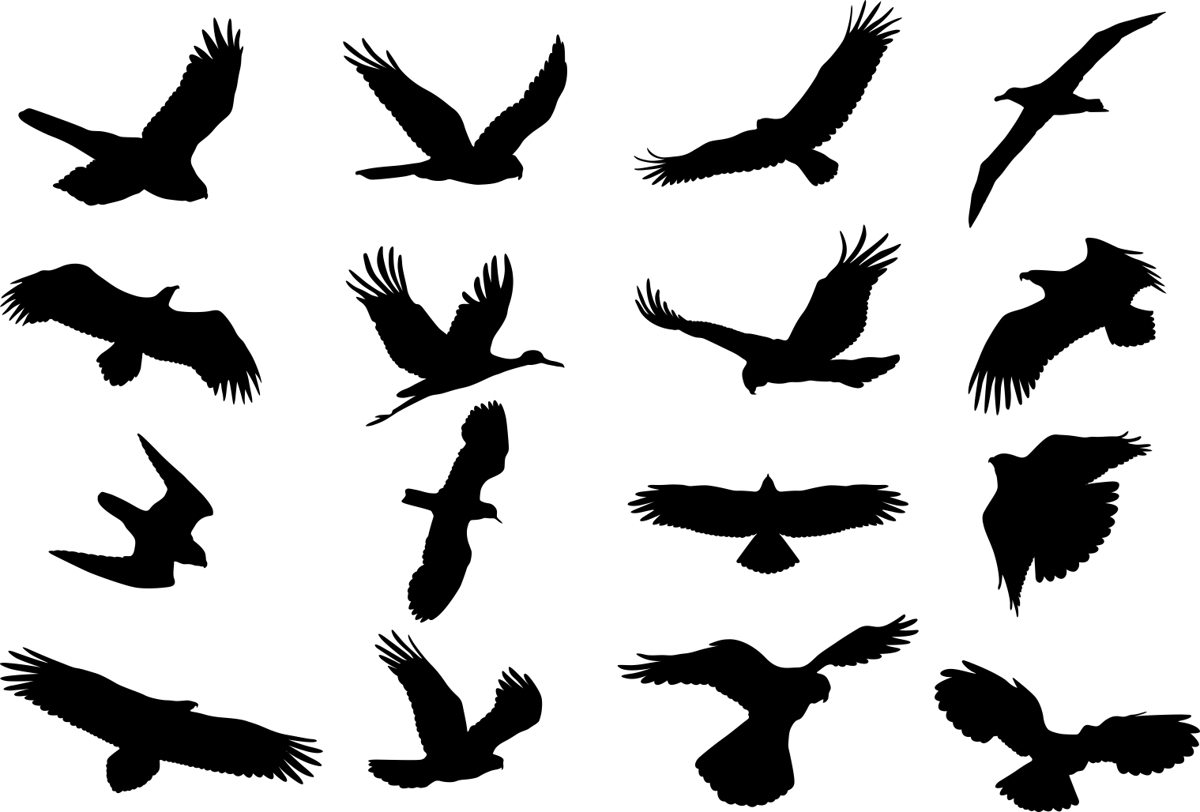 طرح مجموعه وکتور پرندگان سیلوئت مناسب برای استفاده در دستگاه های cnc چوب و cnc لیزر - birds silhouette vector set cdr file