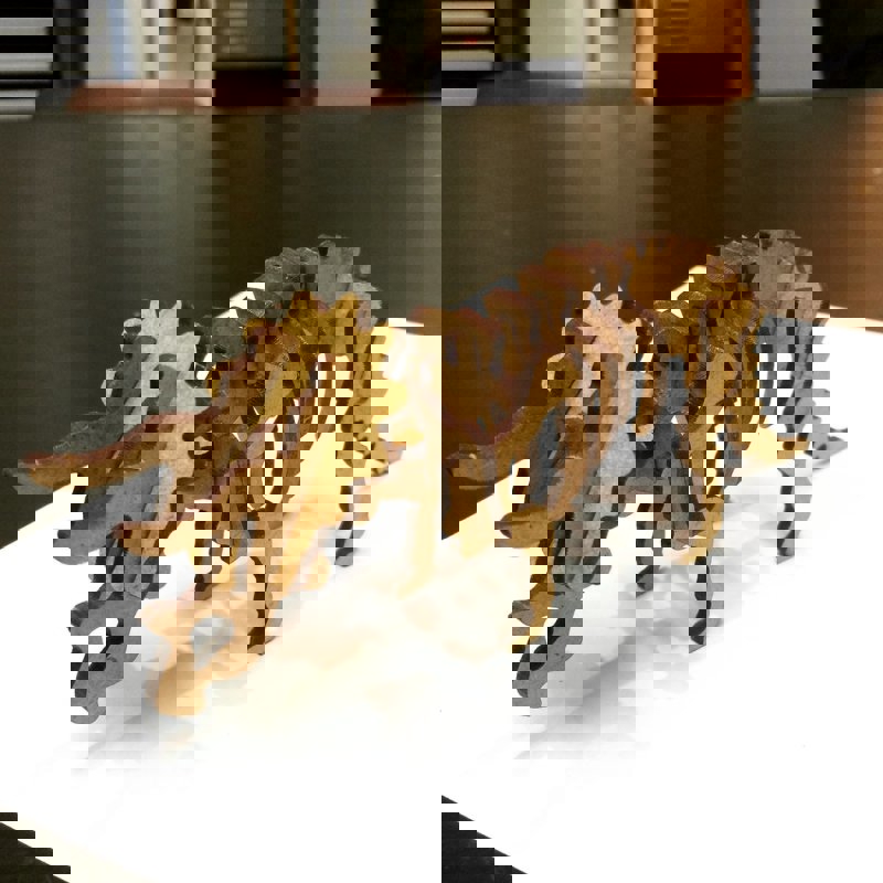 طرح پازل سه بعدی تریسراتوپس مناسب برای استفاده در دستگاه های cnc چوب و cnc لیزر - laser cut triceratops 3d puzzle dxf file