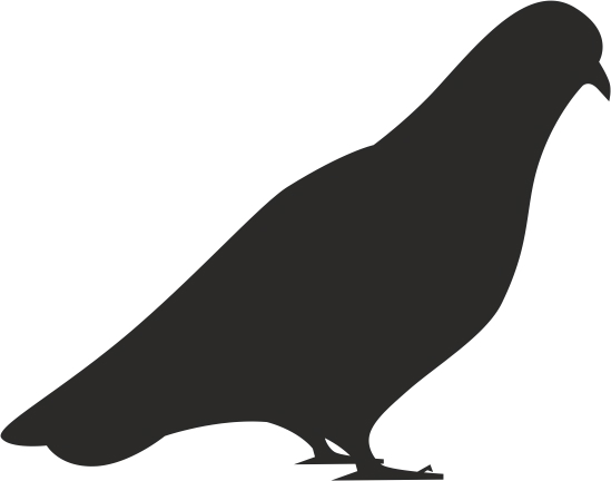 طرح فایل وکتوری سیلوئت پرنده و کبوتر مناسب برای استفاده در دستگاه های cnc چوب و cnc لیزر - bird dove silhouette vector cdr file