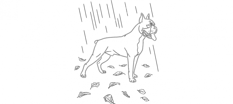 طرح بوکسور در باران مناسب برای استفاده در دستگاه های cnc چوب و cnc لیزر - boxer in the rain dxf file
