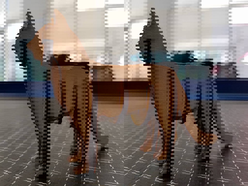 طرح پازل سه بعدی گربه مناسب برای استفاده در دستگاه های cnc چوب و cnc لیزر - laser cut cat 3d puzzle ai file