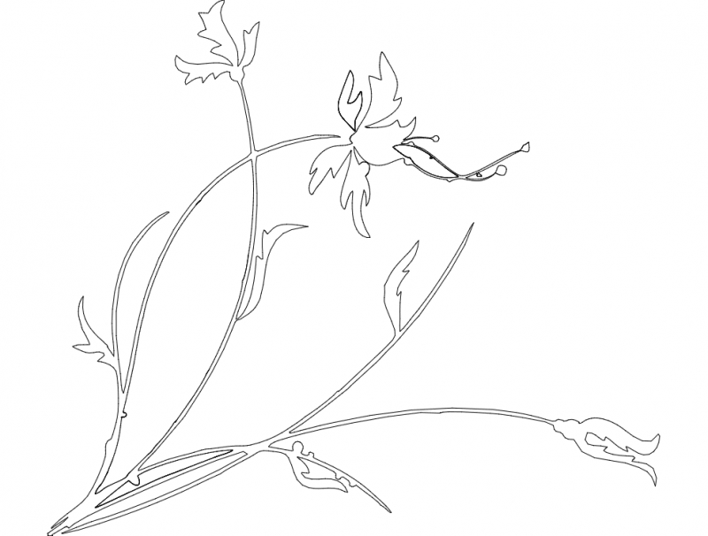 طرح گیاه با گل مناسب برای استفاده در دستگاه های cnc چوب و cnc لیزر - plant with flower dxf file