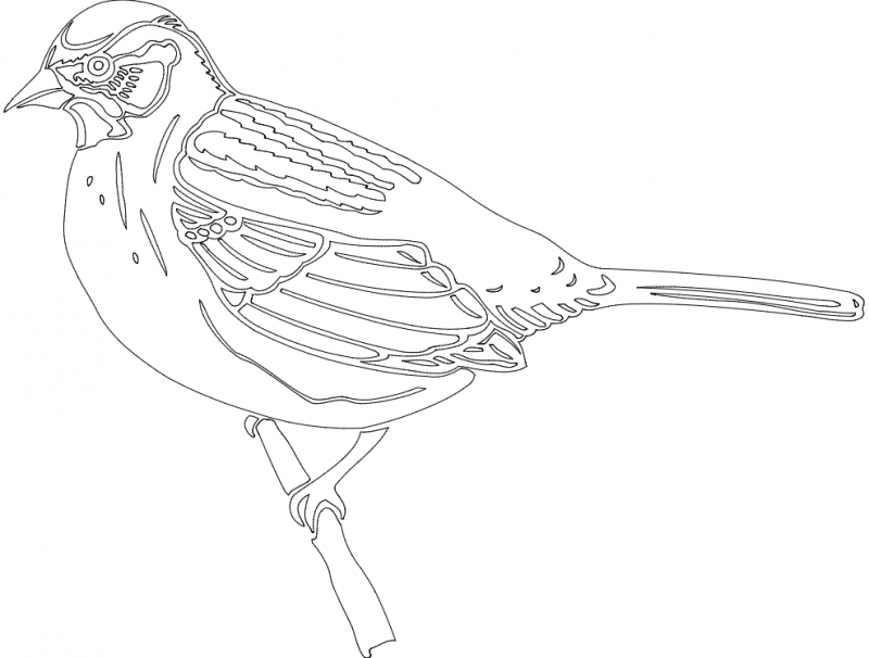 طرح نشسته پرنده مناسب برای استفاده در دستگاه های cnc چوب و cnc لیزر - bird sitting dxf file