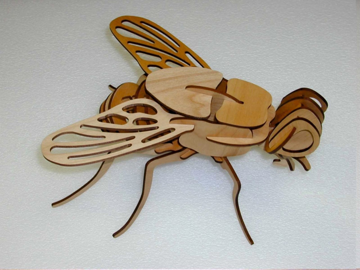 طرح مدل سه بعدی مگس چوبی مناسب برای استفاده در دستگاه های cnc چوب و cnc لیزر - laser cut wooden fly 3d puzzle model template cdr file