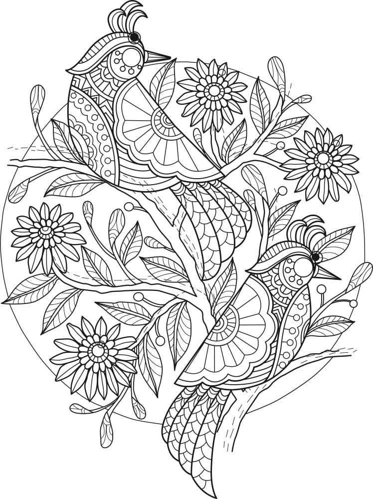 طرح پرندگان زنتنگل مناسب برای استفاده در دستگاه های cnc چوب و cnc لیزر - zentangle birds cdr file