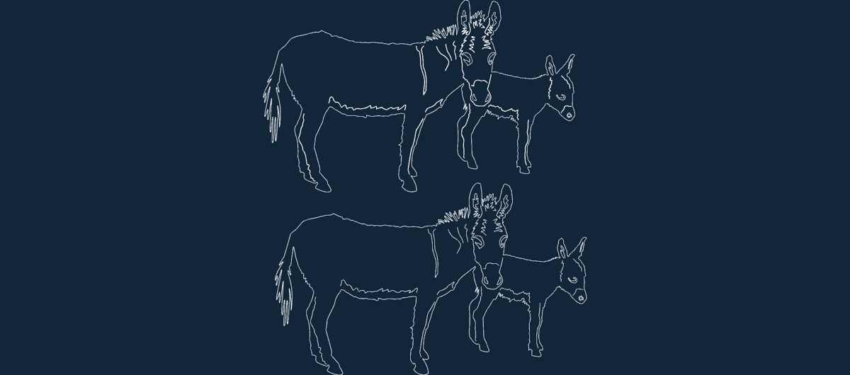 طرح الاغ حیوانات مناسب برای استفاده در دستگاه های cnc چوب و cnc لیزر - animal donkeys dxf file