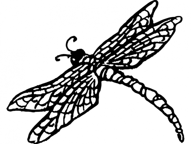 طرح dragonnfly مناسب برای استفاده در دستگاه های cnc چوب و cnc لیزر - dragonnfly dxf file