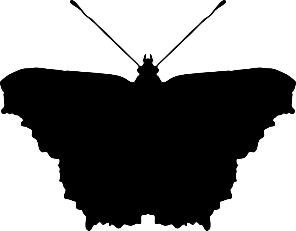 طرح فایل ai پروانه سیاه مناسب برای استفاده در دستگاه های cnc چوب و cnc لیزر - black butterfly ai file