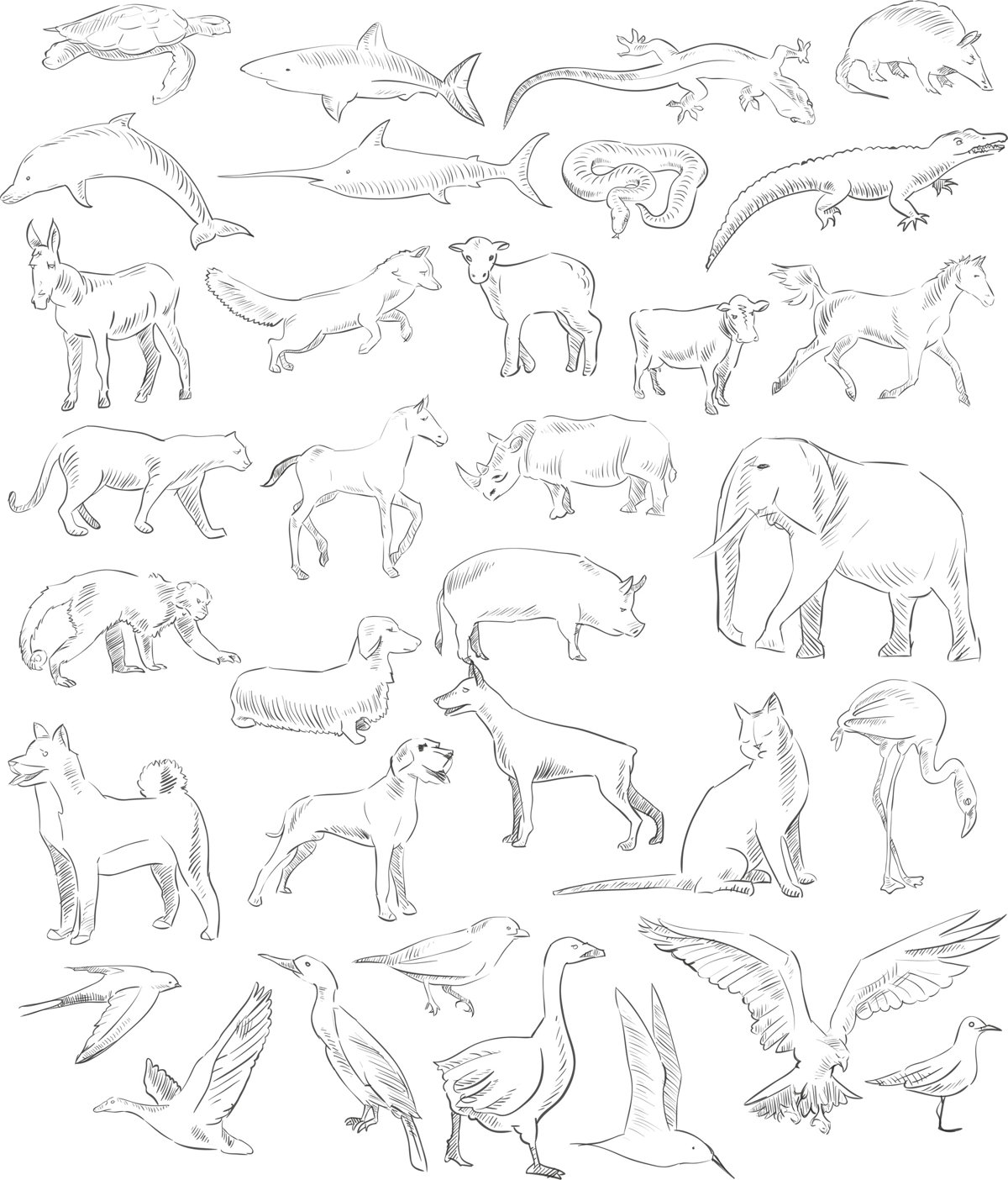 طرح مجموعه حیوانات طراحی شده با دست، مناسب برای استفاده در دستگاه های cnc چوب و cnc لیزر - handdrawn animals set cdr file