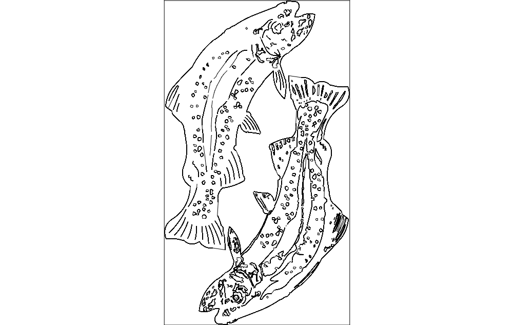 طرح ماهی قزل آلا ۲ مناسب برای استفاده در دستگاه های cnc چوب و cnc لیزر - trout 2 dxf file