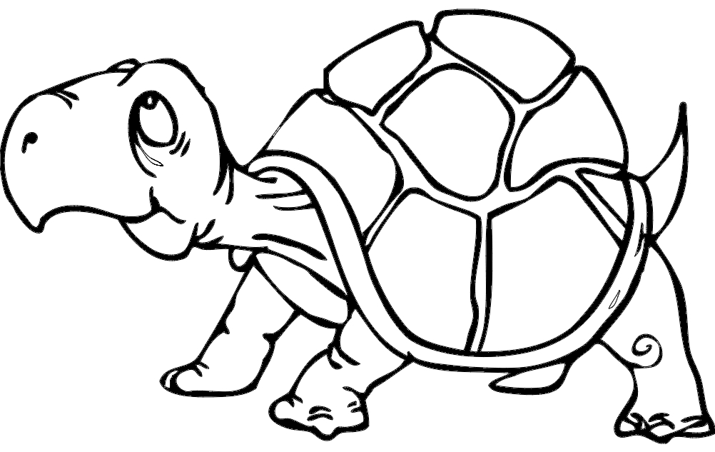 طرح لاک پشت مناسب برای استفاده در دستگاه های cnc چوب و cnc لیزر - turtle dxf file