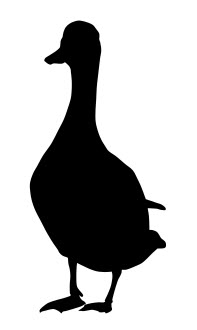 طرح سیلوئت اردک سرسبز مناسب برای استفاده در دستگاه های cnc چوب و cnc لیزر - silhouette mallard duck dxf file