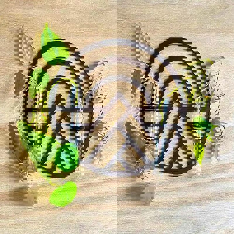 طرح دکور دیواری نمایش ایستگاه تکثیر گیاه با مناسب برای استفاده در دستگاه های cnc چوب و cnc لیزر - laser cut propagation station air plant display wall decor