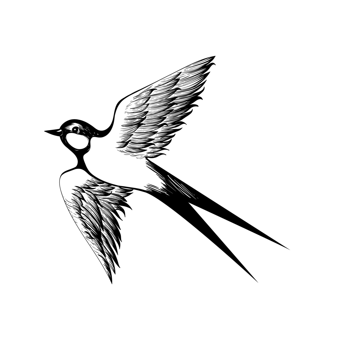 طرح فایل eps و eps طرح پرنده در حال پرواز مناسب برای استفاده در دستگاه های cnc چوب و cnc لیزر - flying bird eps file
