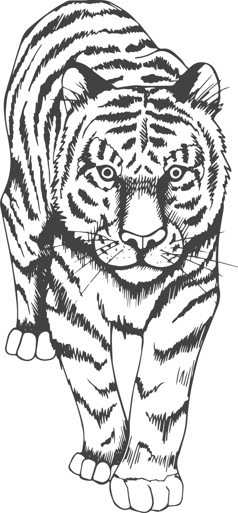 طرح ببر مناسب برای استفاده در دستگاه های cnc چوب و cnc لیزر - tiger art print cdr file