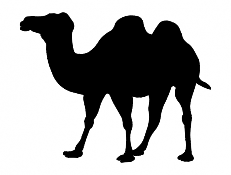 طرح شبح شتر wielblad مناسب برای استفاده در دستگاه های cnc چوب و cnc لیزر - wielblad camel silhouette dxf file