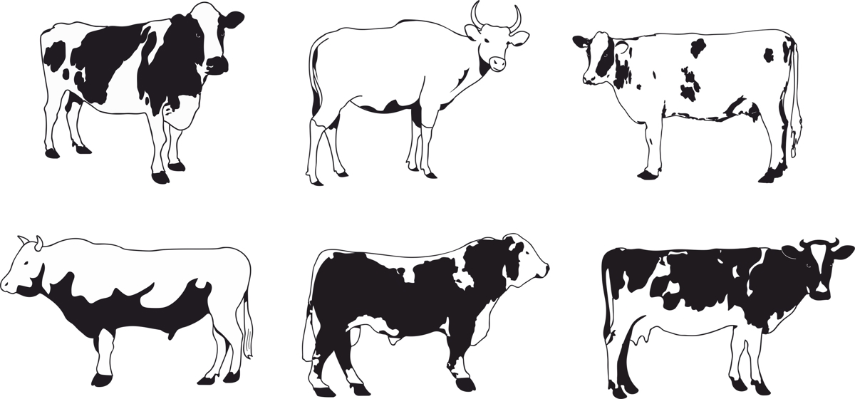 طرح مجموعه وکتور گاوها مناسب برای استفاده در دستگاه های cnc چوب و cnc لیزر - cows vector set cdr file