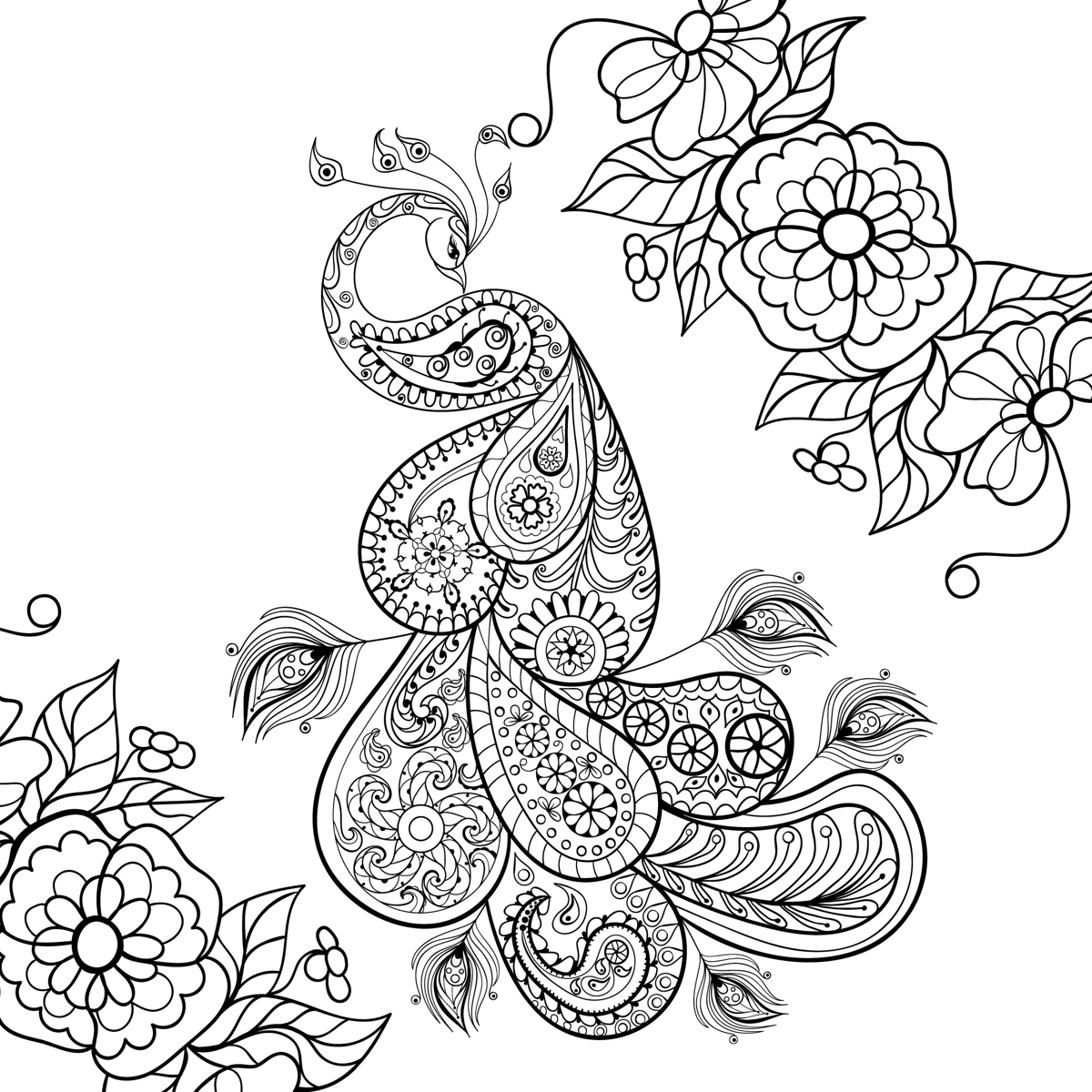 طرح طاووس آبستره وکتور مناسب برای استفاده در دستگاه های cnc چوب و cnc لیزر - peacock abstract vector eps file