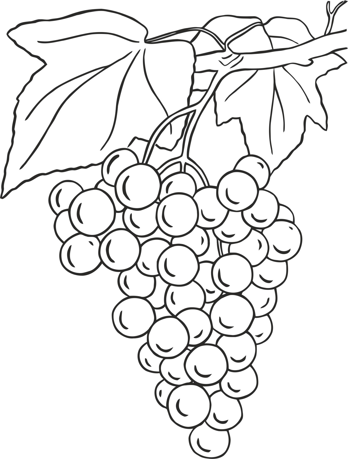 طرح انگور مناسب برای استفاده در دستگاه های cnc چوب و cnc لیزر - grapes design cdr file
