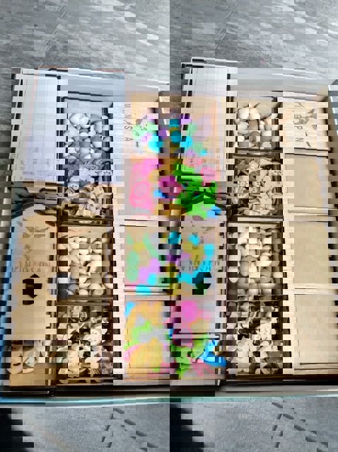 طرح و طرح سازماندهی بازی تخته‌ای با بال‌های باز مناسب برای استفاده در دستگاه های cnc چوب و cnc لیزر - laser cut wingspan boardgame organizer svg file